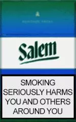 Salem Original Menthol