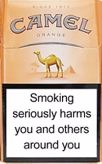Camel Mild (Orange)